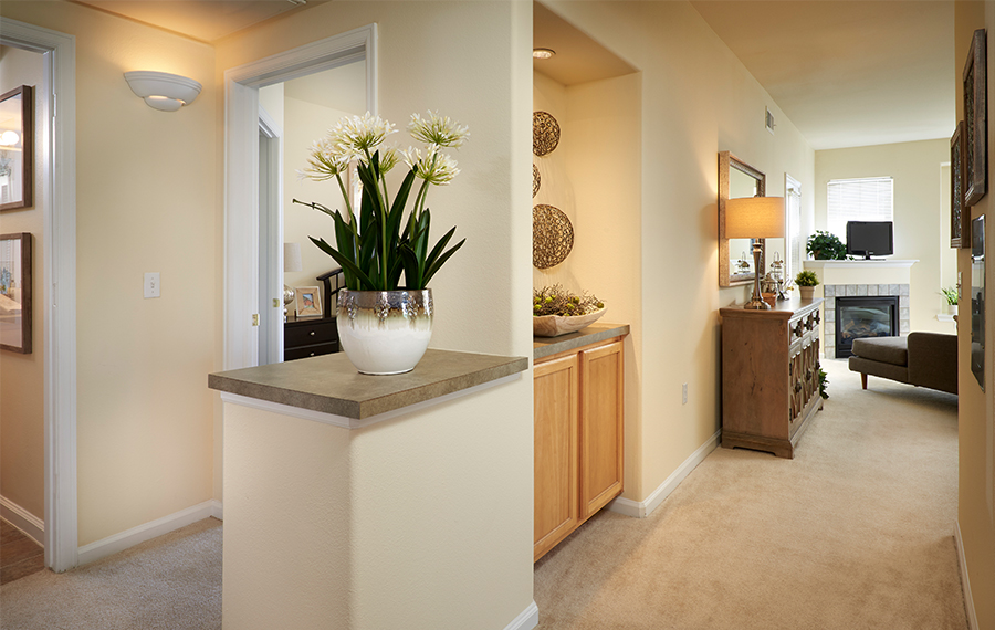 Madison Park - East Lake apartments - Thornton, CO