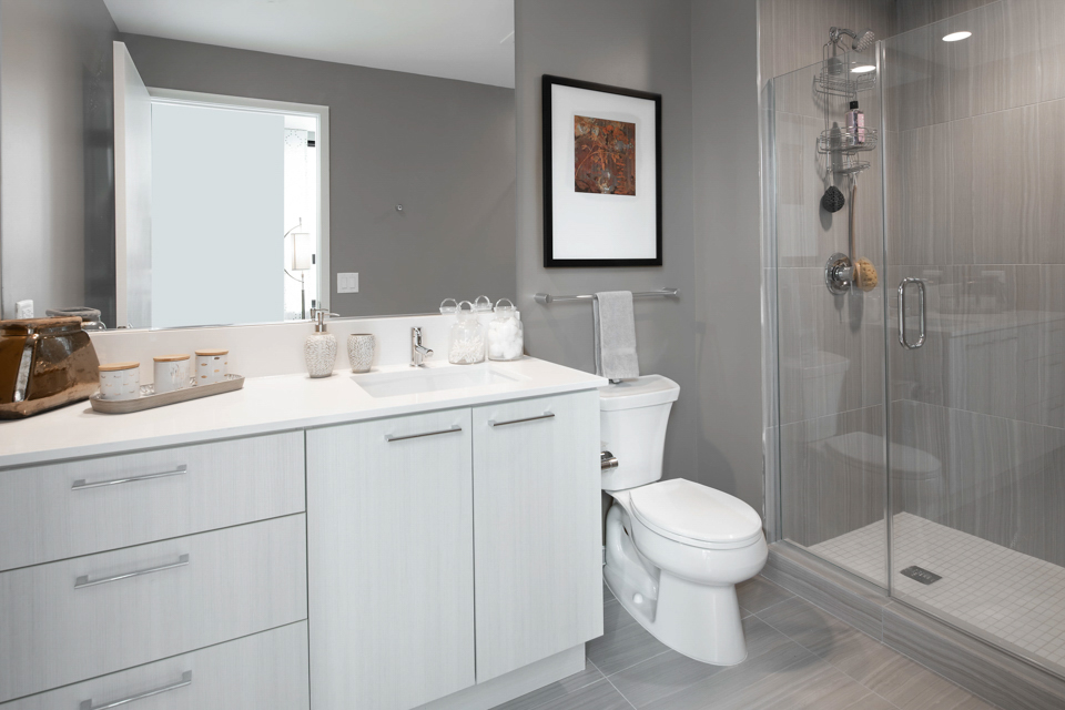 Signature Apartments at Reston Town Center - Reston, VA - bath