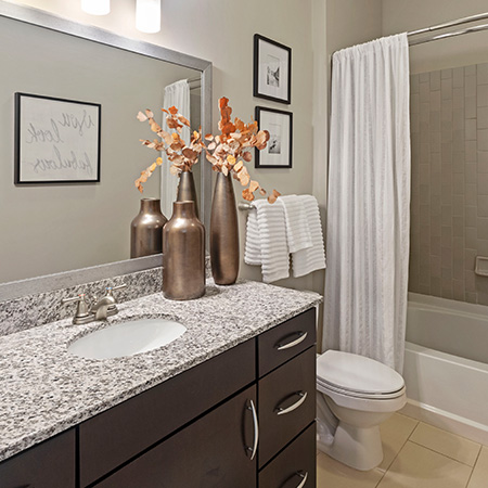 Townhome Rentals in Charlotte - Silos South End - Bathroom