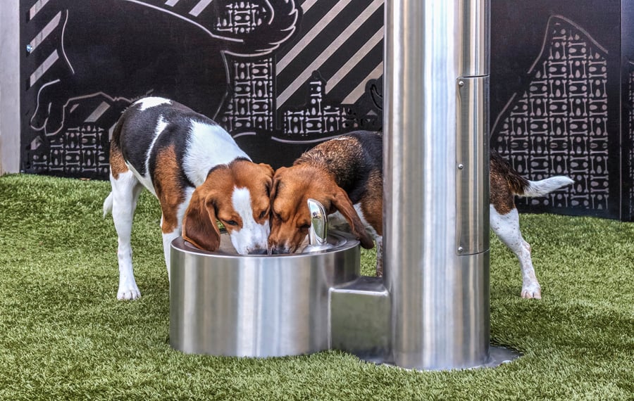 Pet friendly Apartments in Charlotte - The Links Rea Farms