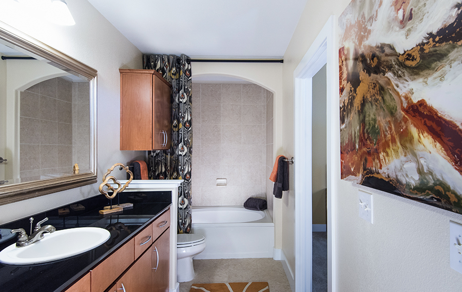 The Boulevard Apartments - Denver, CO - bath