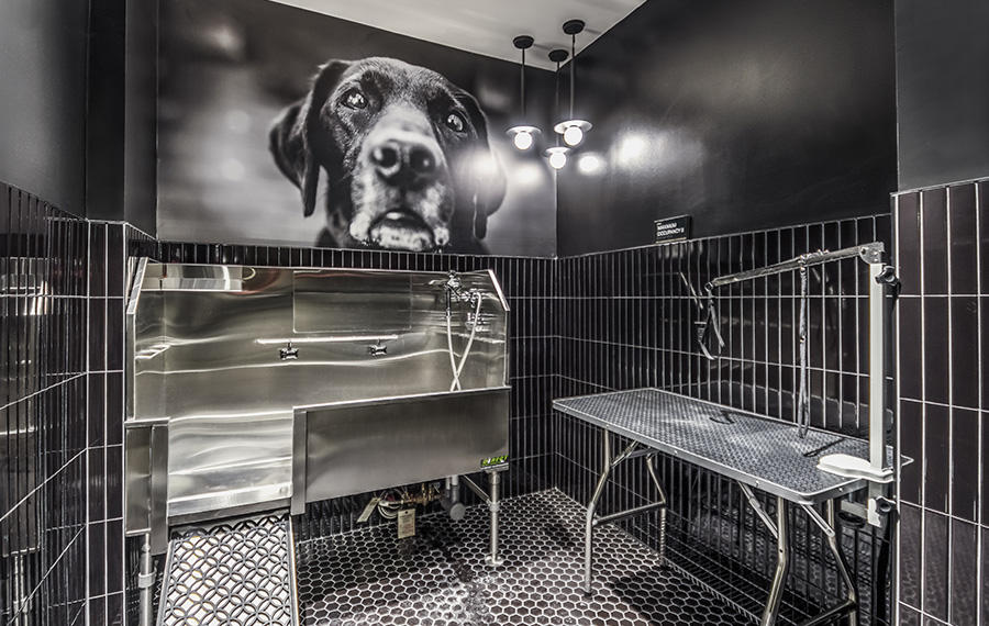 Pet-friendly Apartments in Bethesda, MD - The Camille Apartments Bethesda - Pet Spa