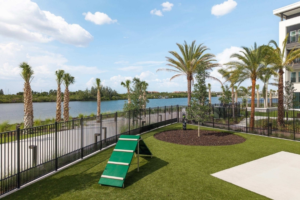 Pet Friendly Apartments in Tampa, FL - The Residence Peninsula Apartments