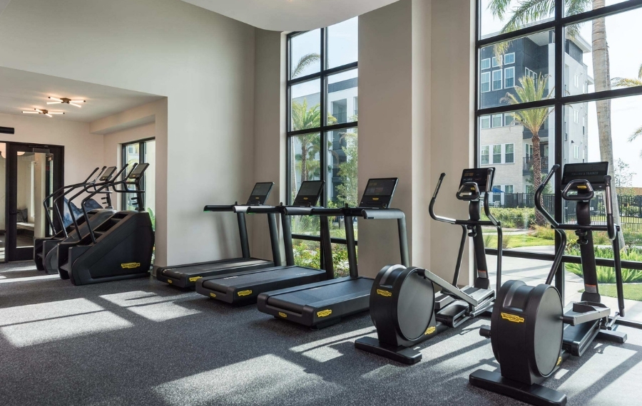 South Tampa Apartments for Rent - The Residence Peninsula - Fitness Lounge