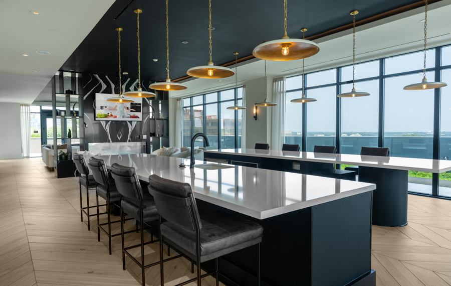 The Camille - Bethesda, MA - Skylounge