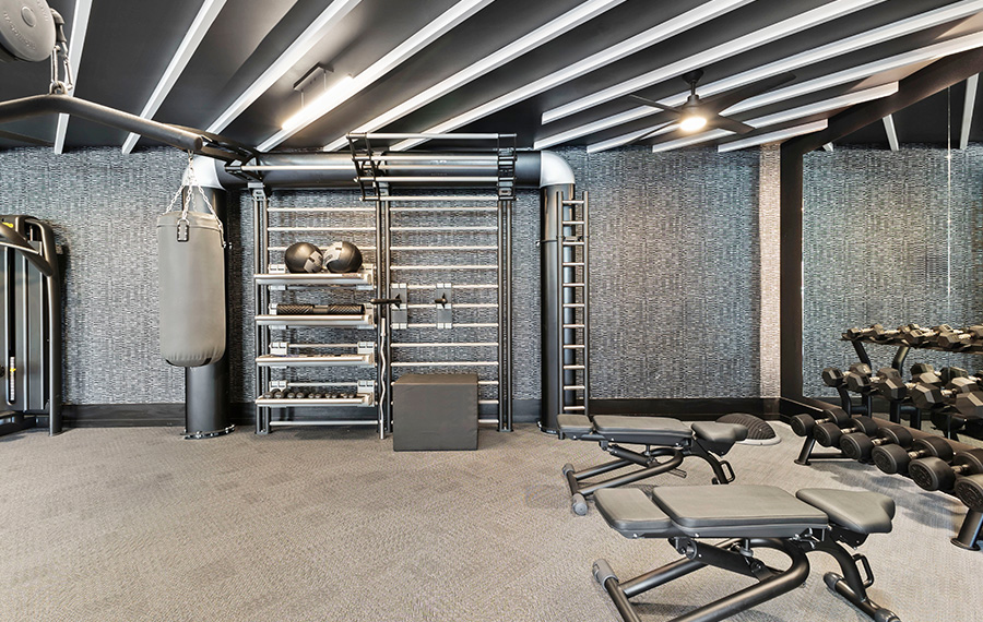 Apartments Near Woodmont Triangle - The Camille Apartments Bethesda - Fitness Center