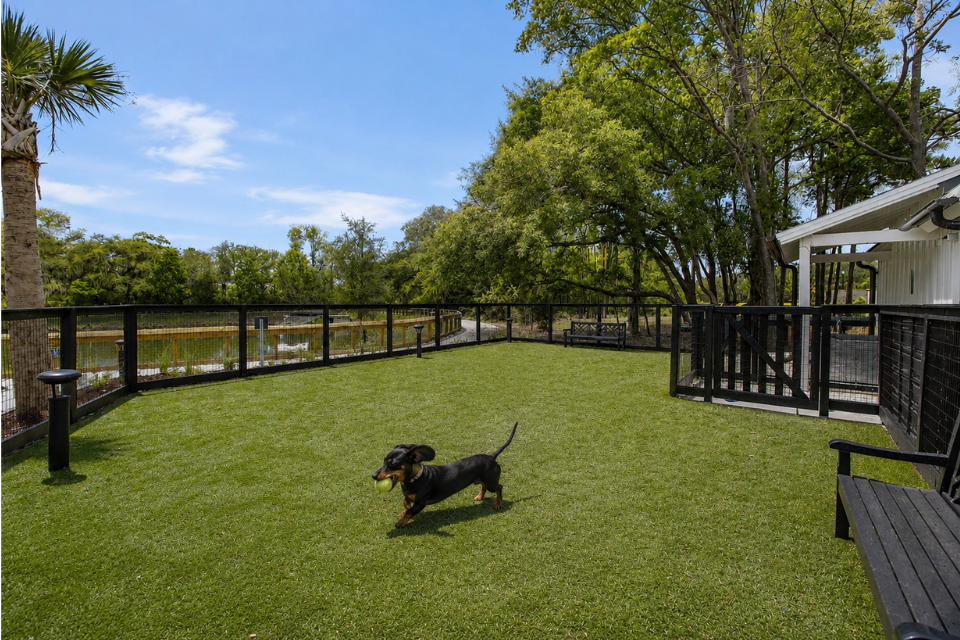 The Henslow Daniel Island Apartments - pet-friendly Mount Pleasant apartments