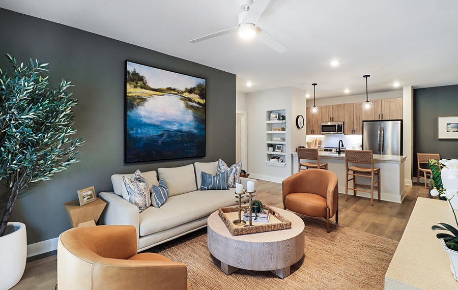 Daniel Island Apartments for Rent - The Henslow Daniel Island - Living Room