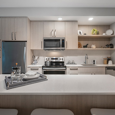 Velo Forest Hills Apartments - Jamaica Plain apartments in Boston, MA - kitchen