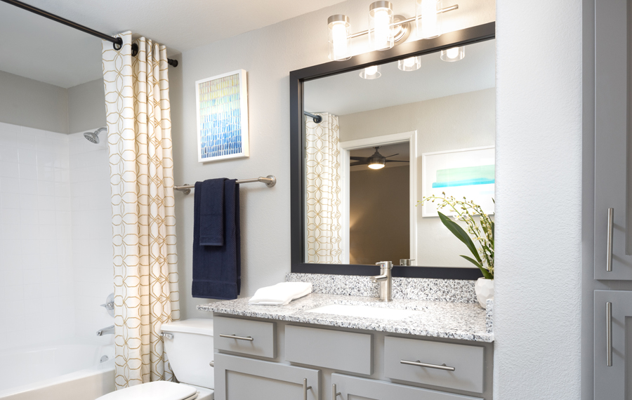 McKinney Apartments near me TX contemporary bathrooms
