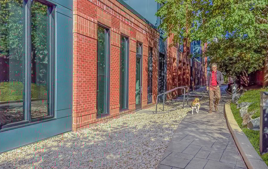 Pet-friendly Apartments in Arlington, VA - Zoso Flats