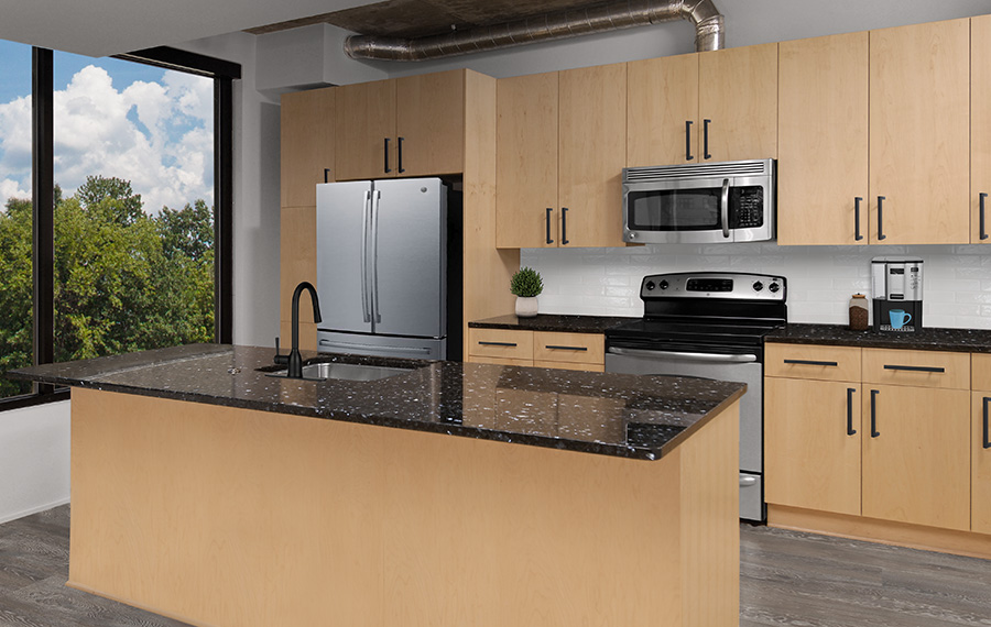 Zoso Flats Apartments in Clarendon Courthouse - Kitchen