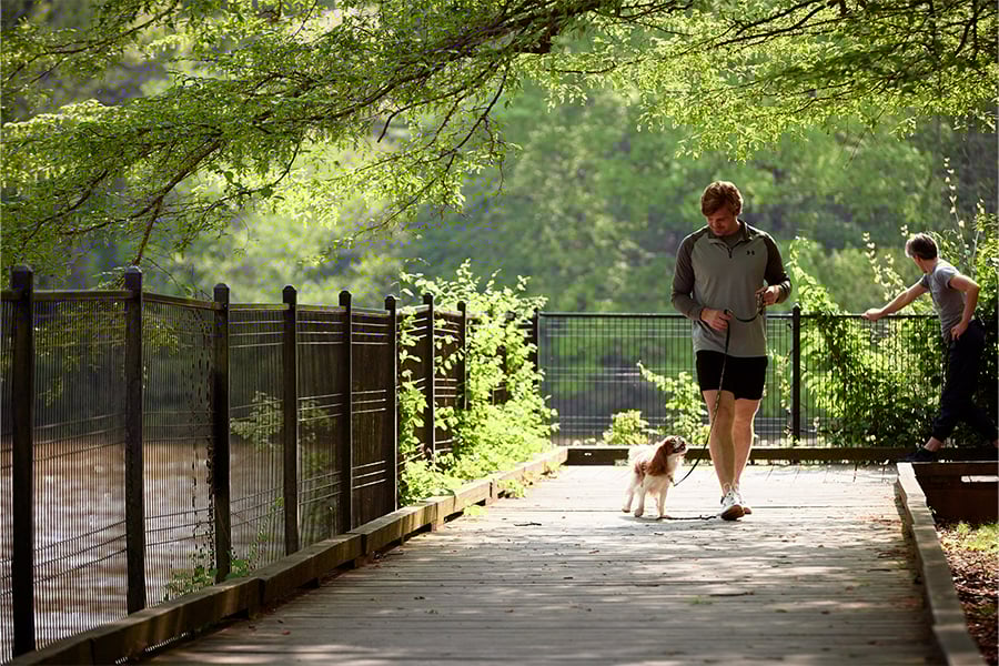 Cumberland Apartments in Atlanta - Auden Apartments - Trails
