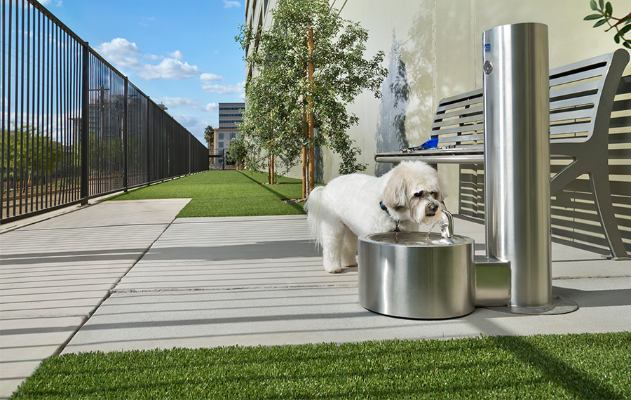 Luxury pet-friendly apartments in Biltmore - District at Biltmore - Phoenix, AZ