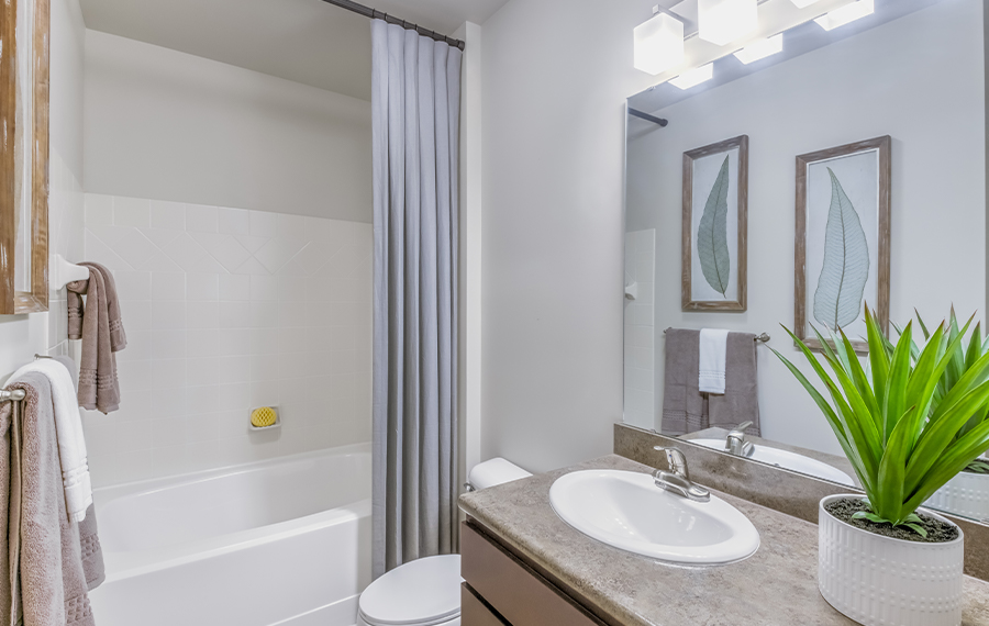 Ayrsley townhomes near Whitewater Center - Gramercy Square at Ayrsley - bathroom
