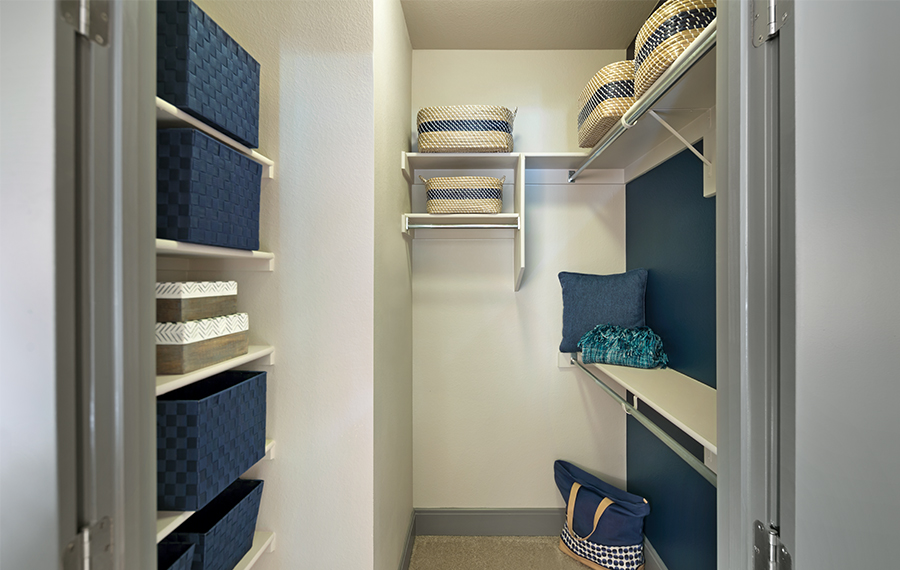 Luxury Apartments in Phoenix AZ with Walk-in Closets - District at Biltmore
