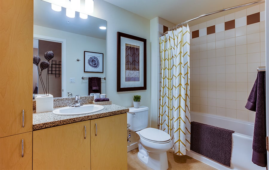 Portland, OR Apartments for rent near Tillicum Bridge - The Matisse Spacious Bathrooms