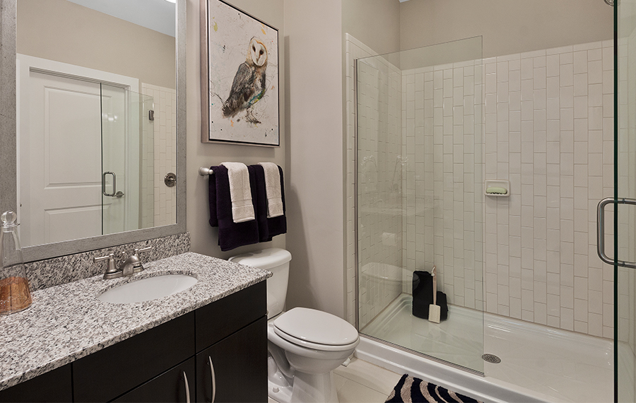 Marshall Park - apartments near crabtree - bathroom