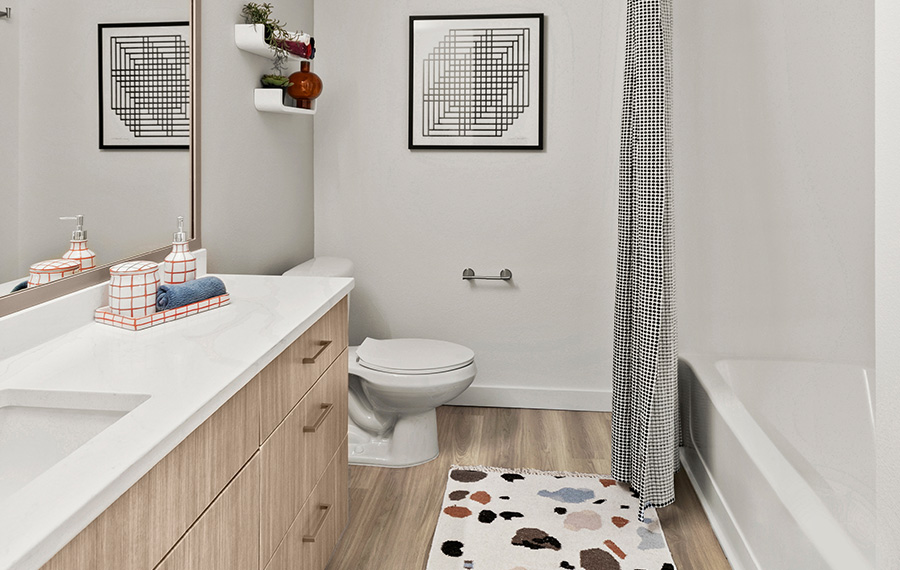 Downtown Seattle apartments for rent near Facebook - Neptune remodeled bath