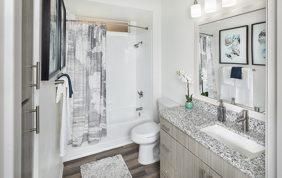 Apartments for rent in North Scottsdale - San Carlos upgraded bathrooms
