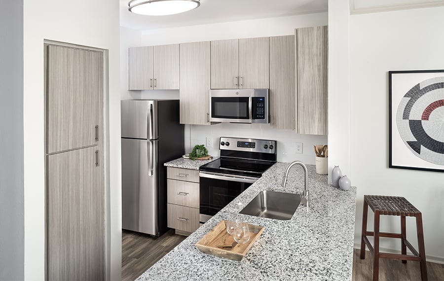 Apartments for rent in North Scottsdale - San Carlos upgraded kitchen
