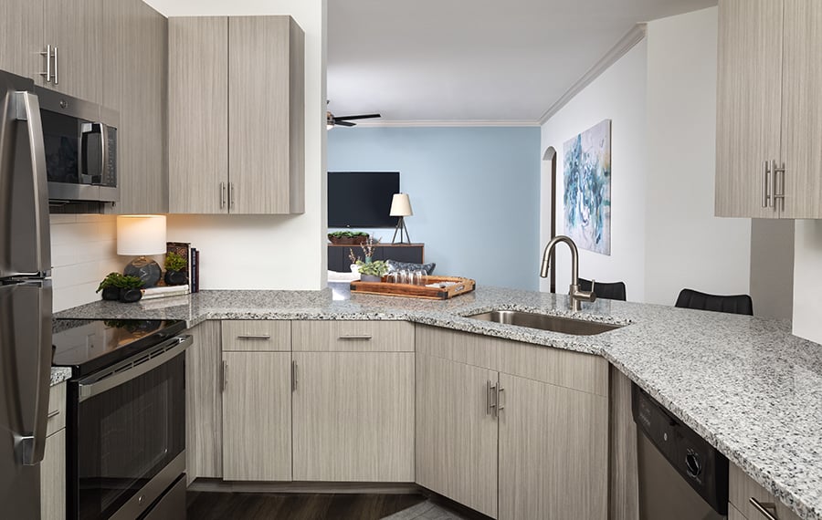 Apartments for rent in Austin, TX - New appliances