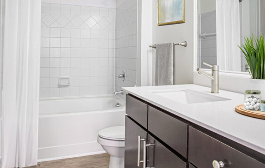 Gramercy Square at Ayrsley - Charlotte, NC - Bathrooms