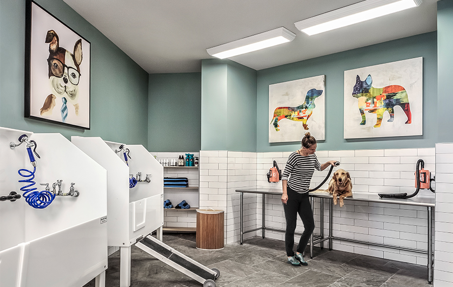 2700 Charlotte - Nashville, TN - Pet Spa - apartments for rent near nashville tn