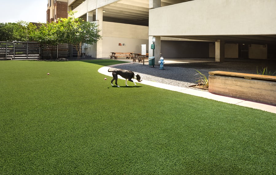 Apartments for rent 77098 - District at Greenbriar Dog Park