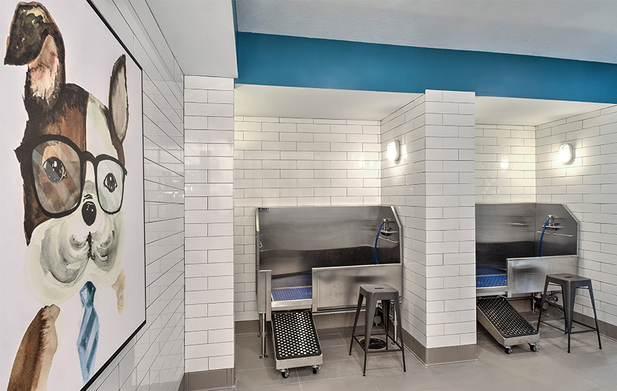 SouthPark apartments near American Airlines - The Encore SouthPark - Pet Spa