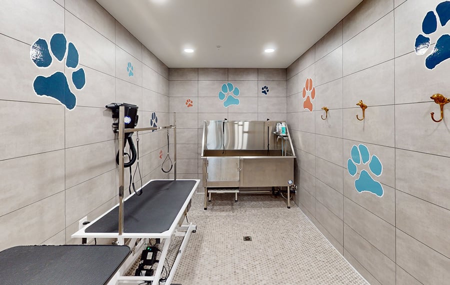 Parker, CO Apartments - The Meadows at Meridian - Pet Spa