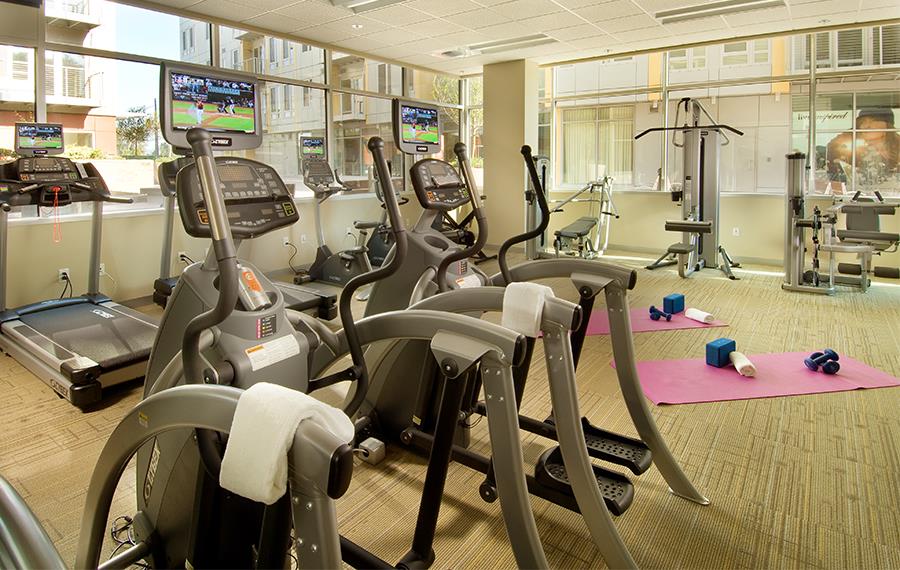 Discover the Community Amenities Apartments for Rent Near John's Landing Portland, OR The