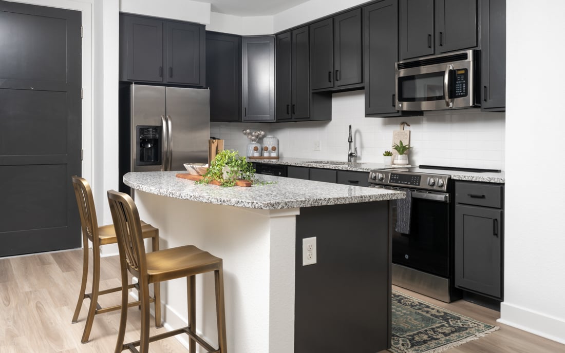 The Battery on Blake Street model kitchen - Rentals in Ballpark Neighborhood, Denver