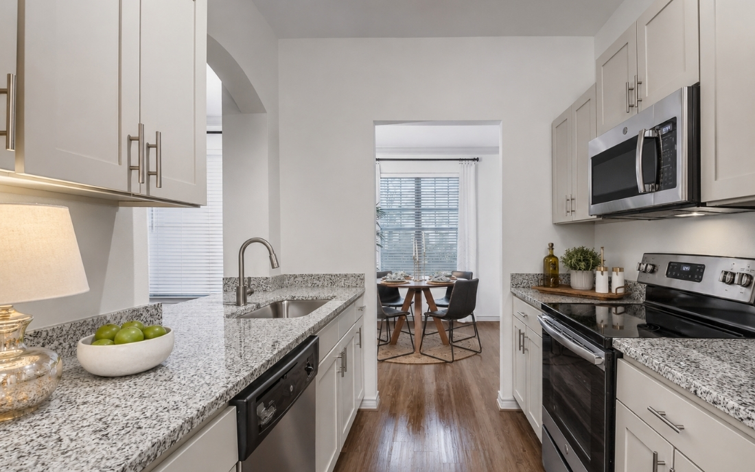 Apartments in Ballantyne NC - Promenade Park - upgraded iinteriors