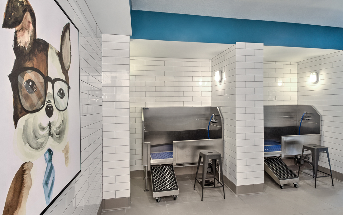 SouthPark apartments near Symphony Park - The Encore SouthPark - pet spa