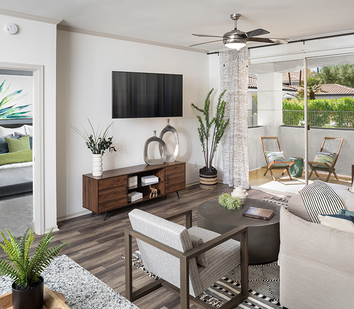 North Scottsdale apartments for rent - San Carlos living room