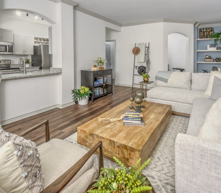 Ballantyne Apartment Homes - Promenade Park living room
