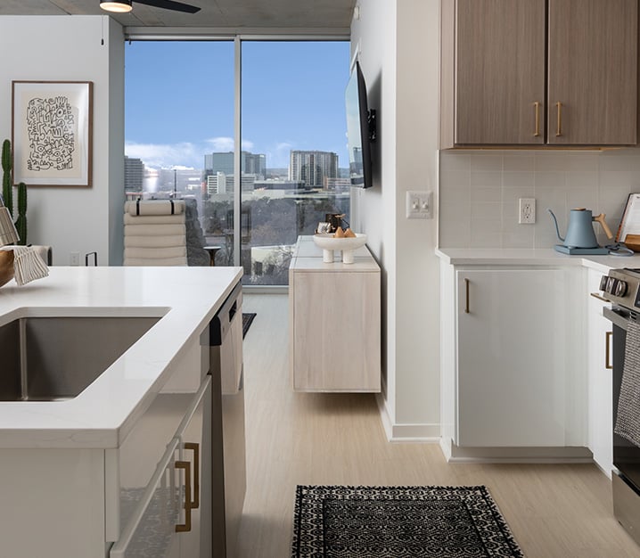 Austin Apartments on Rainey Street - SkyHouse Austin - Living Room