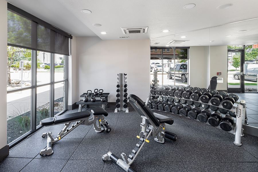 Gallery Apartments at the Domain The Addison Apartments