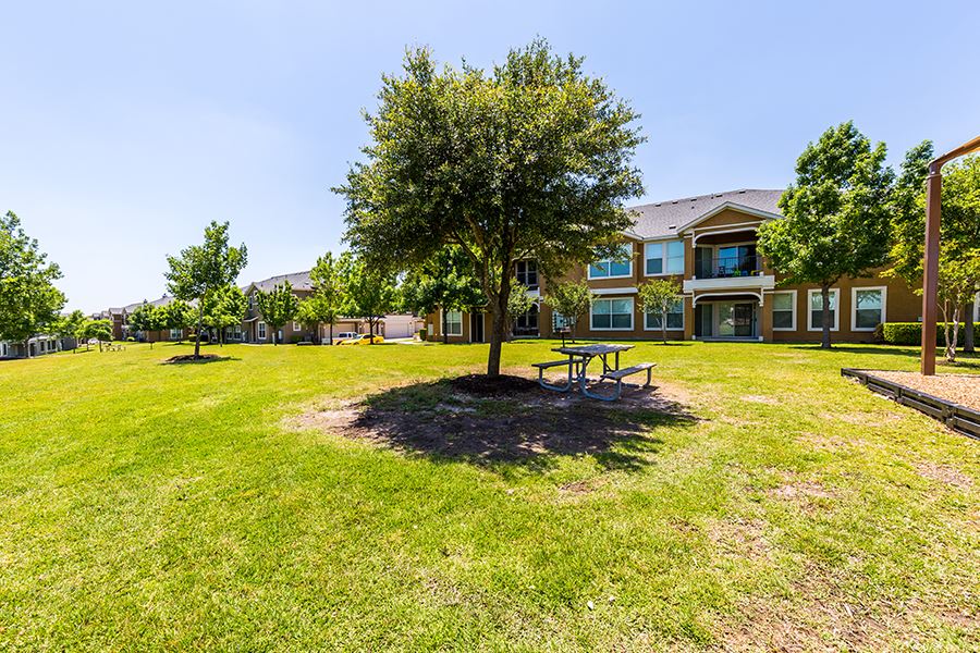 Tour the Gallery Apartments Near Hutto Lake Park, Hutto, TX