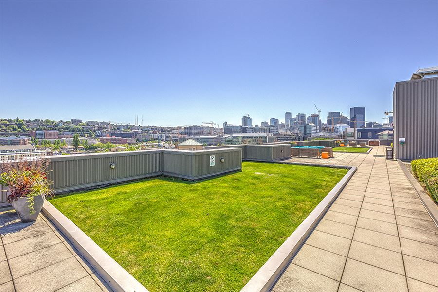 landscaped rooftop terrace with views of seattle cityscape and the space needle rooftop terrace breathtaking views downtown seattle