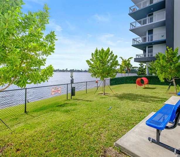 LaVida Apartments - apartments near Doral - dog park