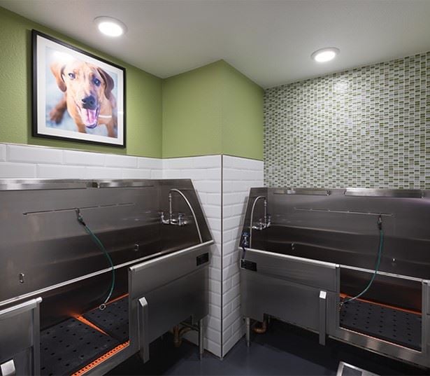 Luxury apartment homes in Brea, CA - Joule La Floresta - pet spa and park