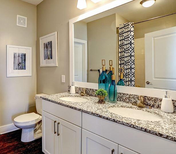Apartments with Gwinnett County Public Schools - Artisan Station Apartments Bathroom