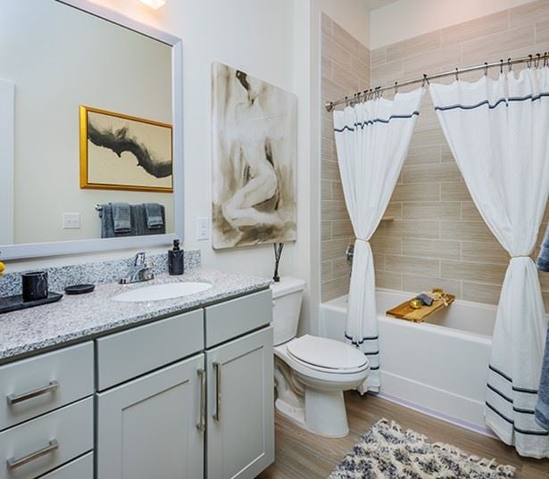Briley Apartments - Downtown Matthews, NC - modern baths