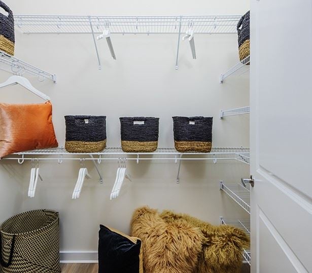Briley - Matthews, NC apartments - walk-in closet