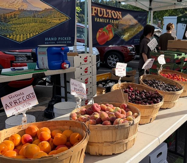 Pet Friendly Apartments in West Linn, OR - Cascade Summit - Willamette Street Market