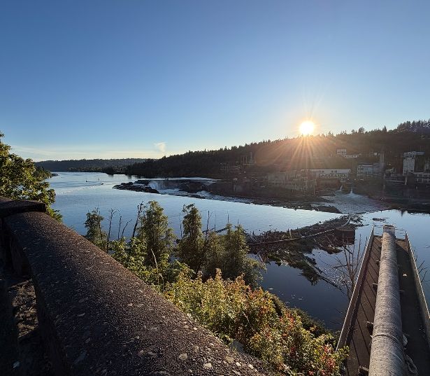 Townhomes in West Linn, OR - Cascade Summit - Neighborhood