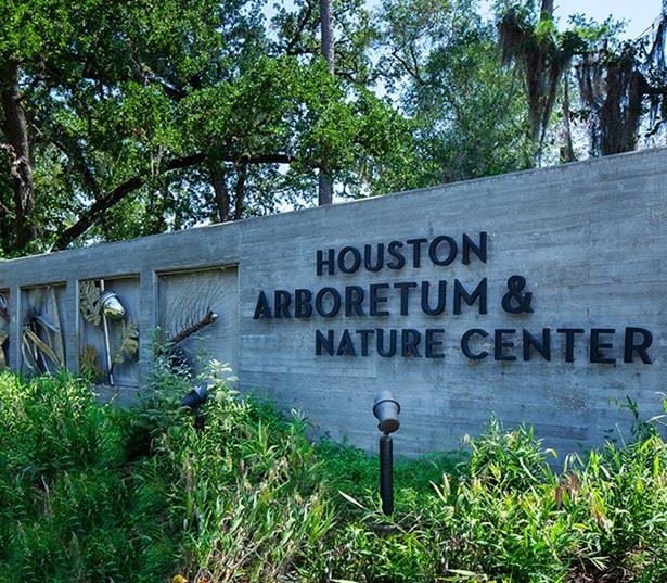 Apartments for Rent in Houston Heights - 2125 Yale - Memorial Park