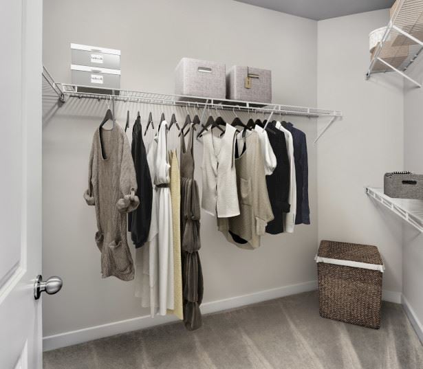 Ayrsley apartments for rent - Gramercy Square at Ayrsley - Spacious bedroom